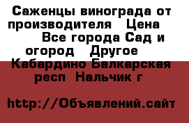 Саженцы винограда от производителя › Цена ­ 800 - Все города Сад и огород » Другое   . Кабардино-Балкарская респ.,Нальчик г.